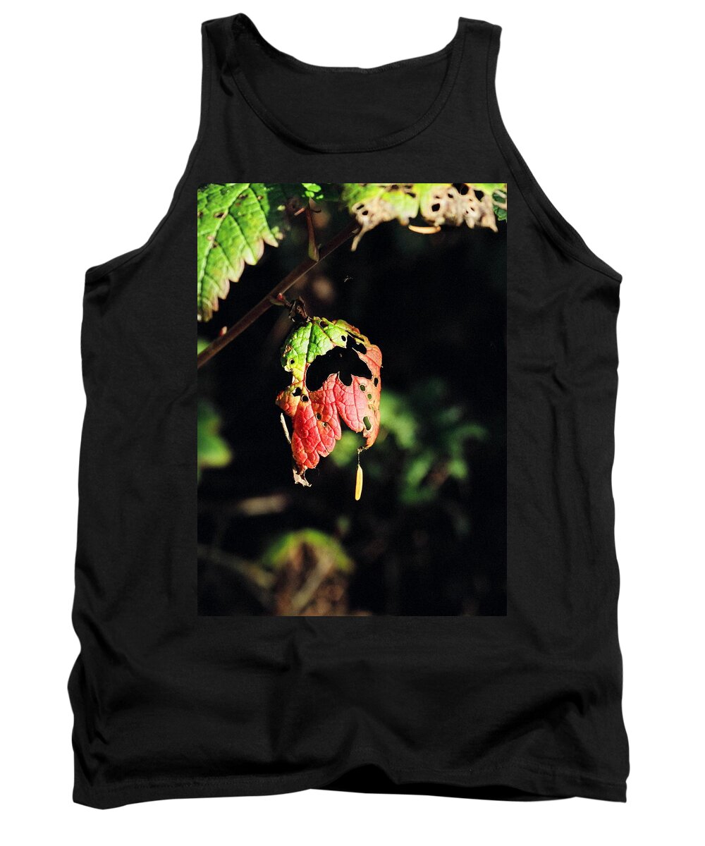 Autumn Tank Top featuring the photograph Autumn Leaf by Cathy Mahnke