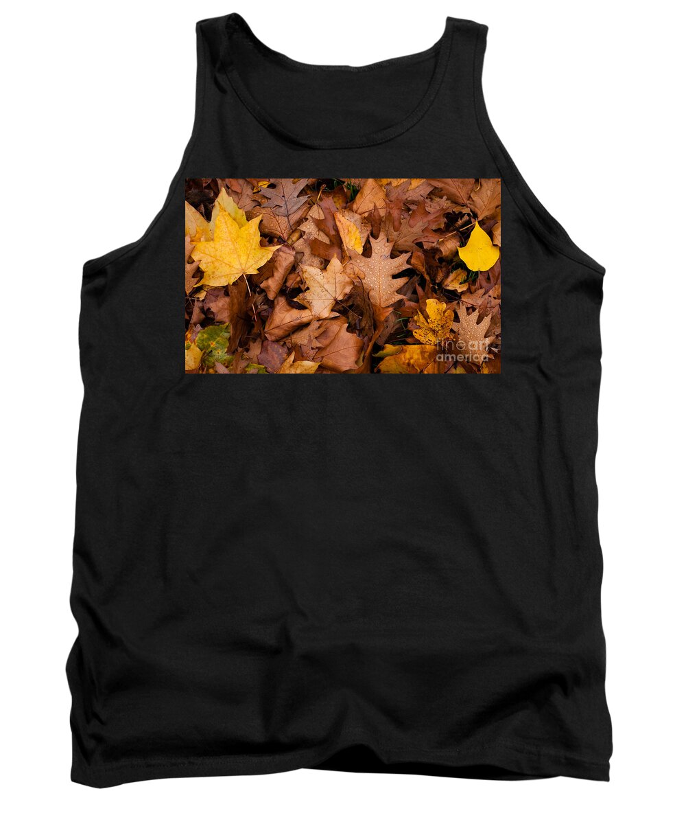 Red Tank Top featuring the photograph Autumn Leaves by Matt Malloy