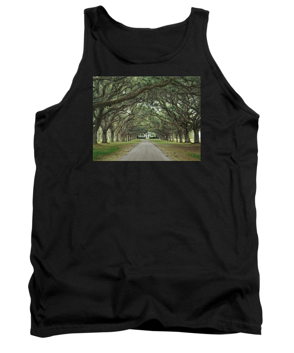 Avenue Of The Oaks Tank Top featuring the photograph 147706-Avenue of the Oaks by Ed Cooper Photography