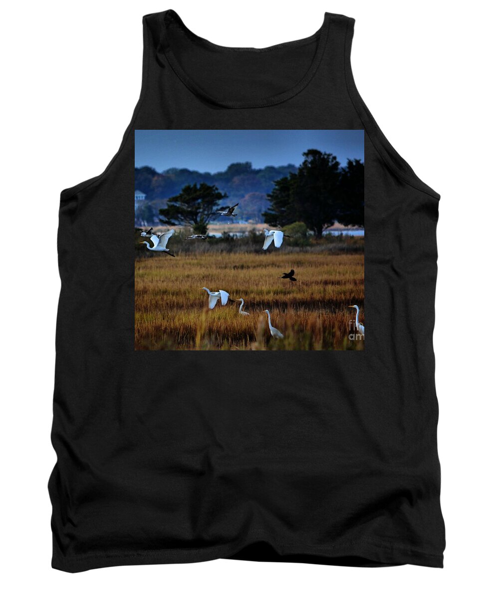 Birds Tank Top featuring the photograph Aviary Convention by Robert McCubbin