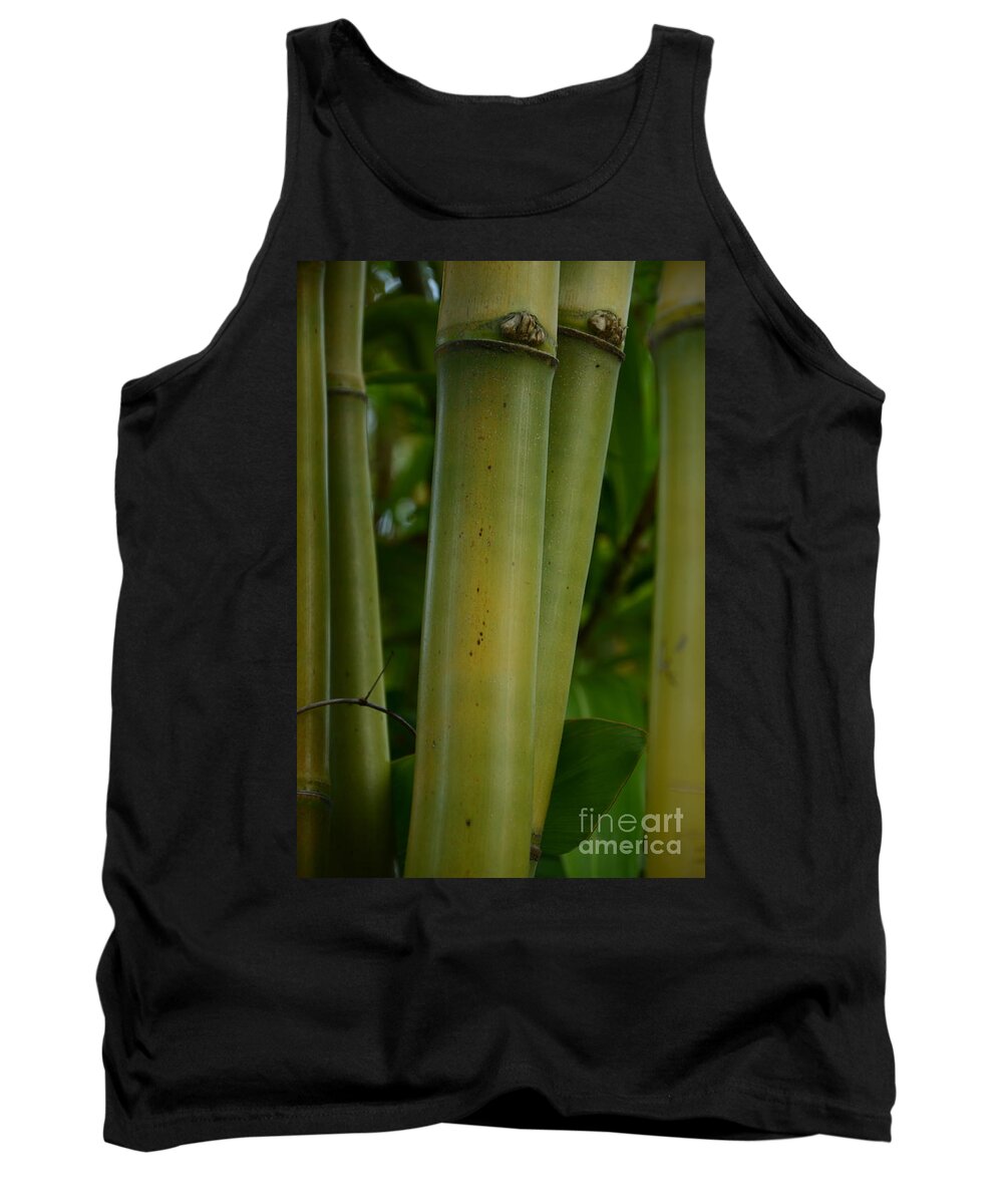 Bamboo Tank Top featuring the photograph Bamboo II by Robert Meanor