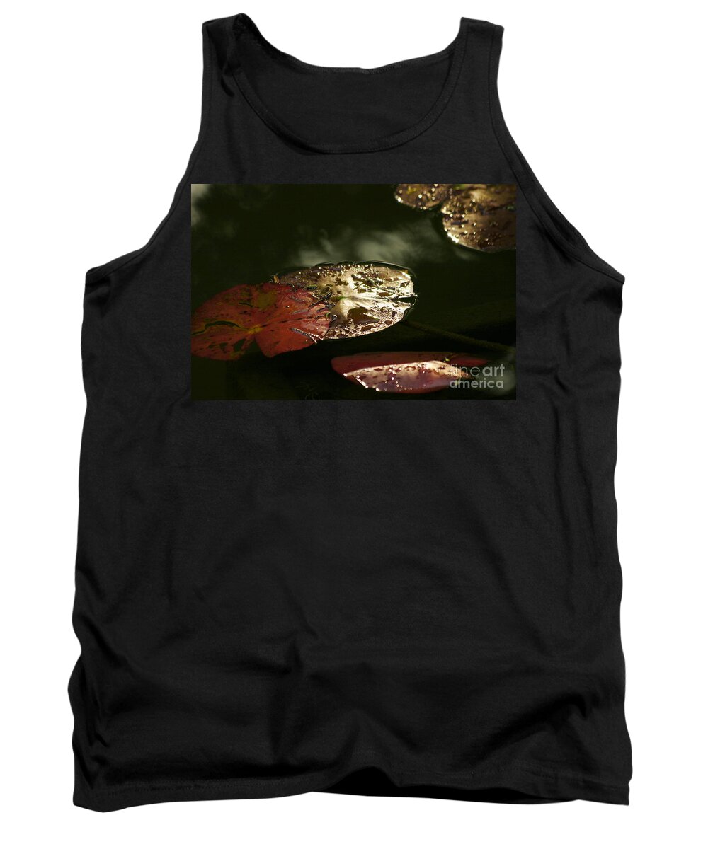Tranquility Tank Top featuring the photograph Beauty by Eileen Gayle