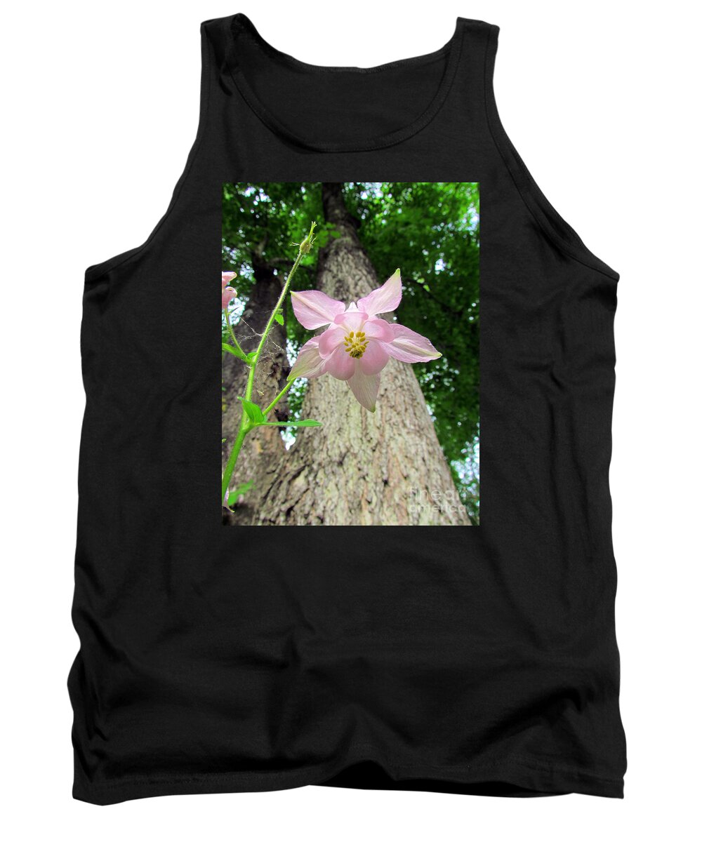 Star Flower Tank Top featuring the photograph Beauty From Below by Elizabeth Dow