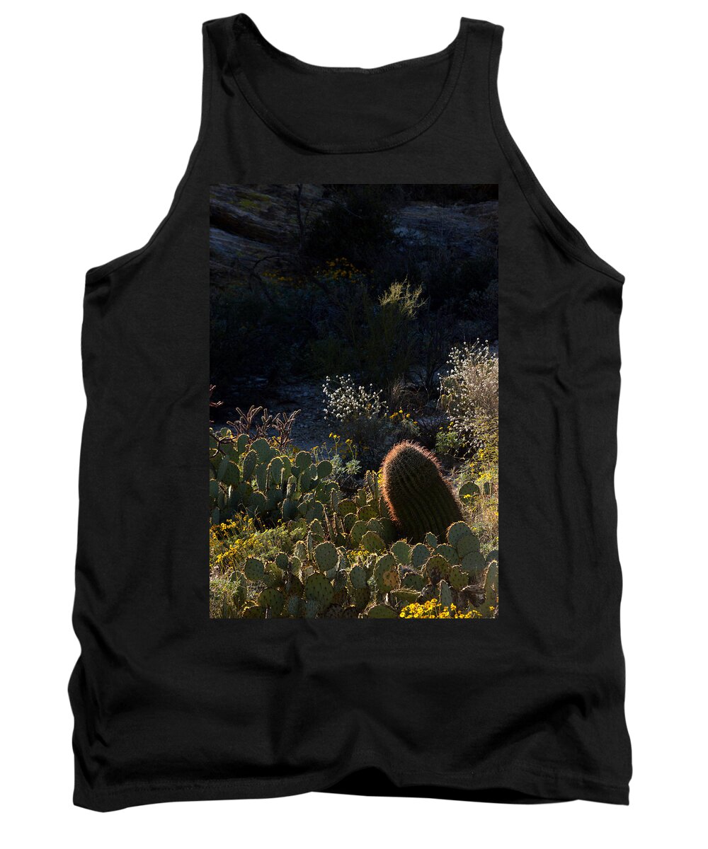 Cactus Tank Top featuring the photograph Bed of Cactus by Michael McGowan