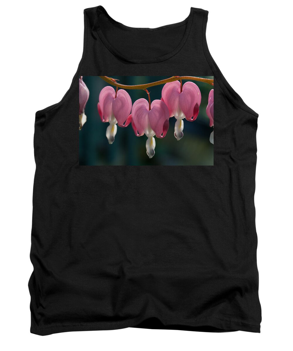 Flowers Tank Top featuring the photograph Bleeding Hearts by Robert Storost