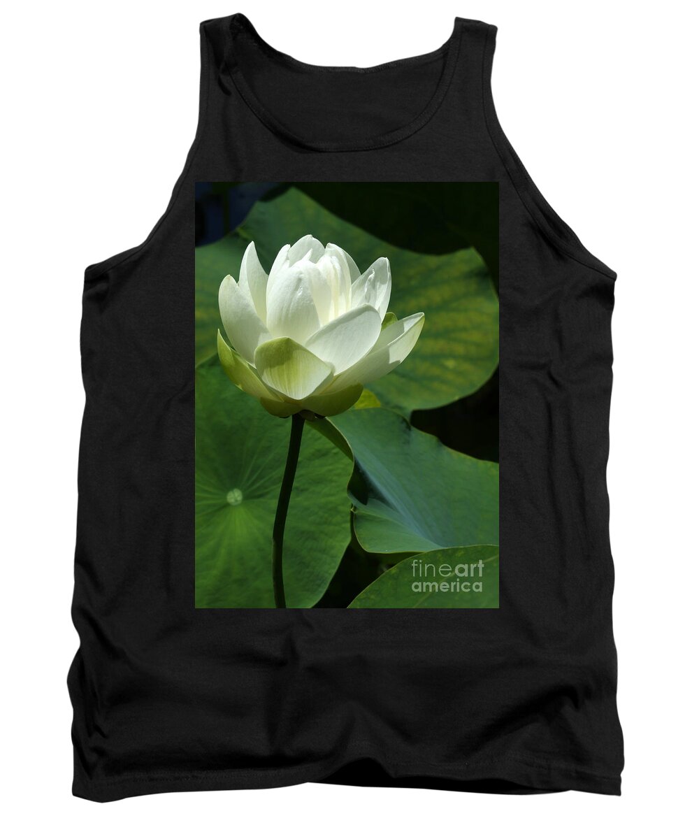 Macro Tank Top featuring the photograph Blooming White Lotus by Sabrina L Ryan