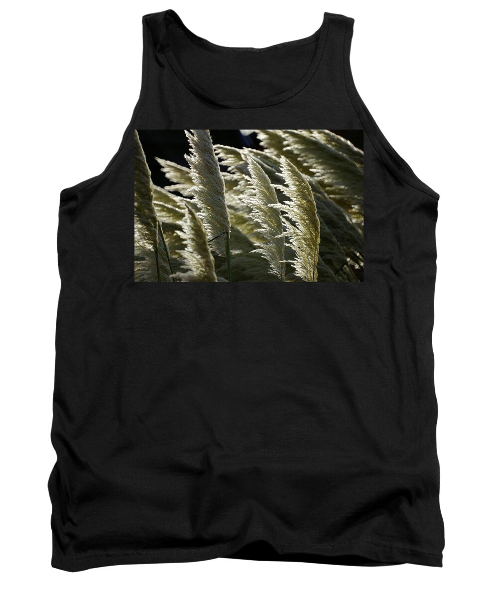 Pampas Tank Top featuring the photograph Blowing free by Ron Harpham