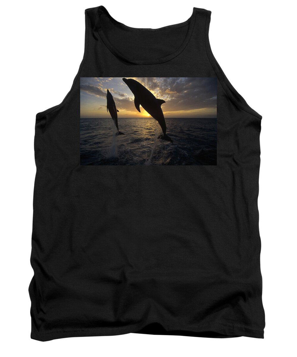 Feb0514 Tank Top featuring the photograph Bottlenose Dolphins Leaping At Sunrise by Konrad Wothe