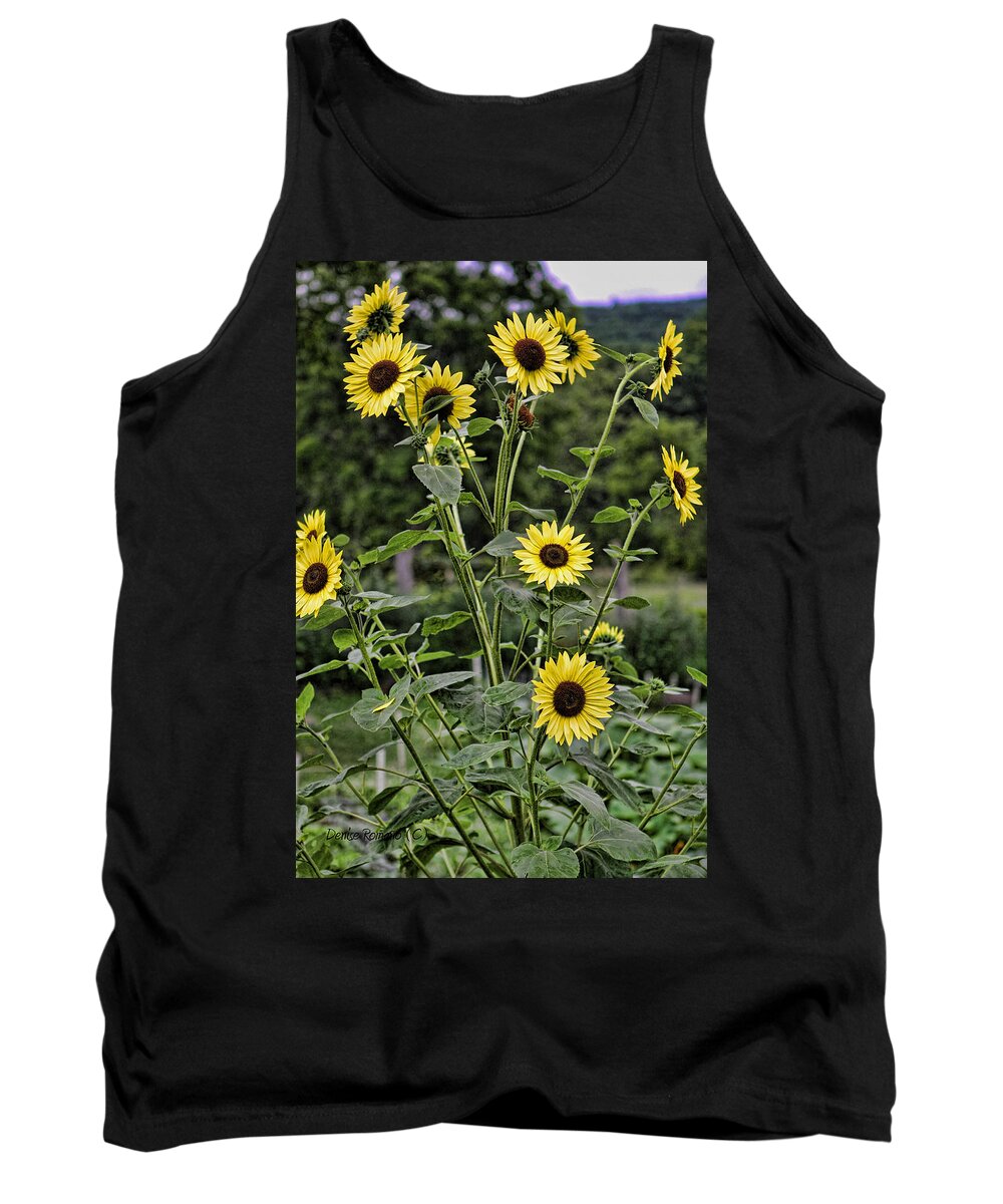 Sunflowers Tank Top featuring the photograph Bright Sunflowers by Denise Romano