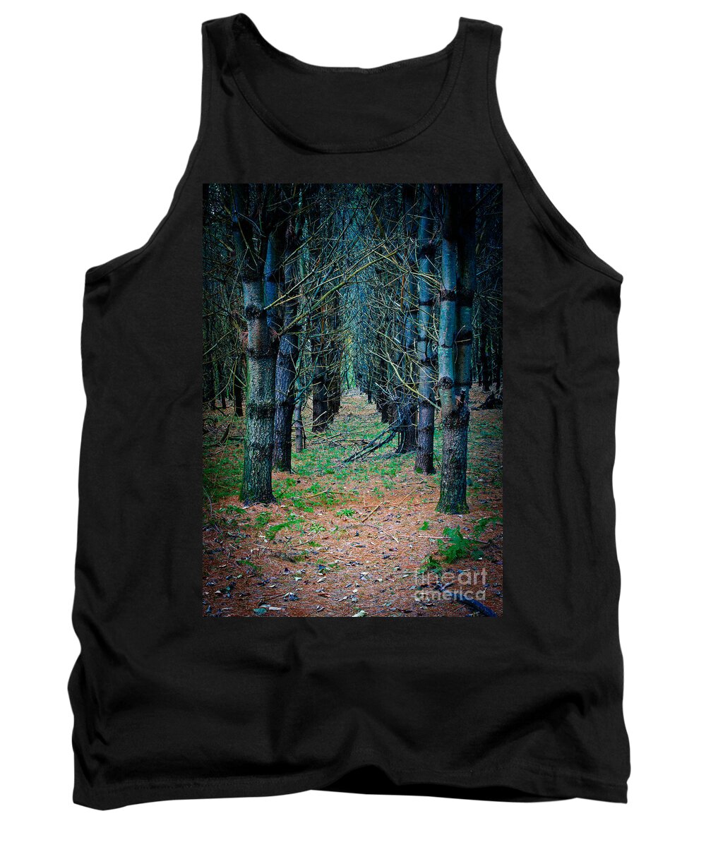 Brothers Tank Top featuring the photograph Brothers Grimm Forest by Edward Fielding
