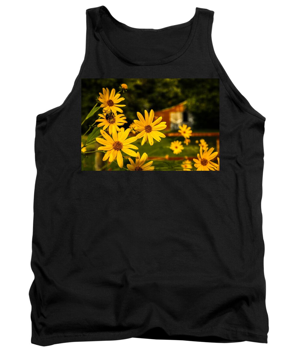 Barn Tank Top featuring the photograph Bumble Bee on a Western Sunflower by Ron Pate