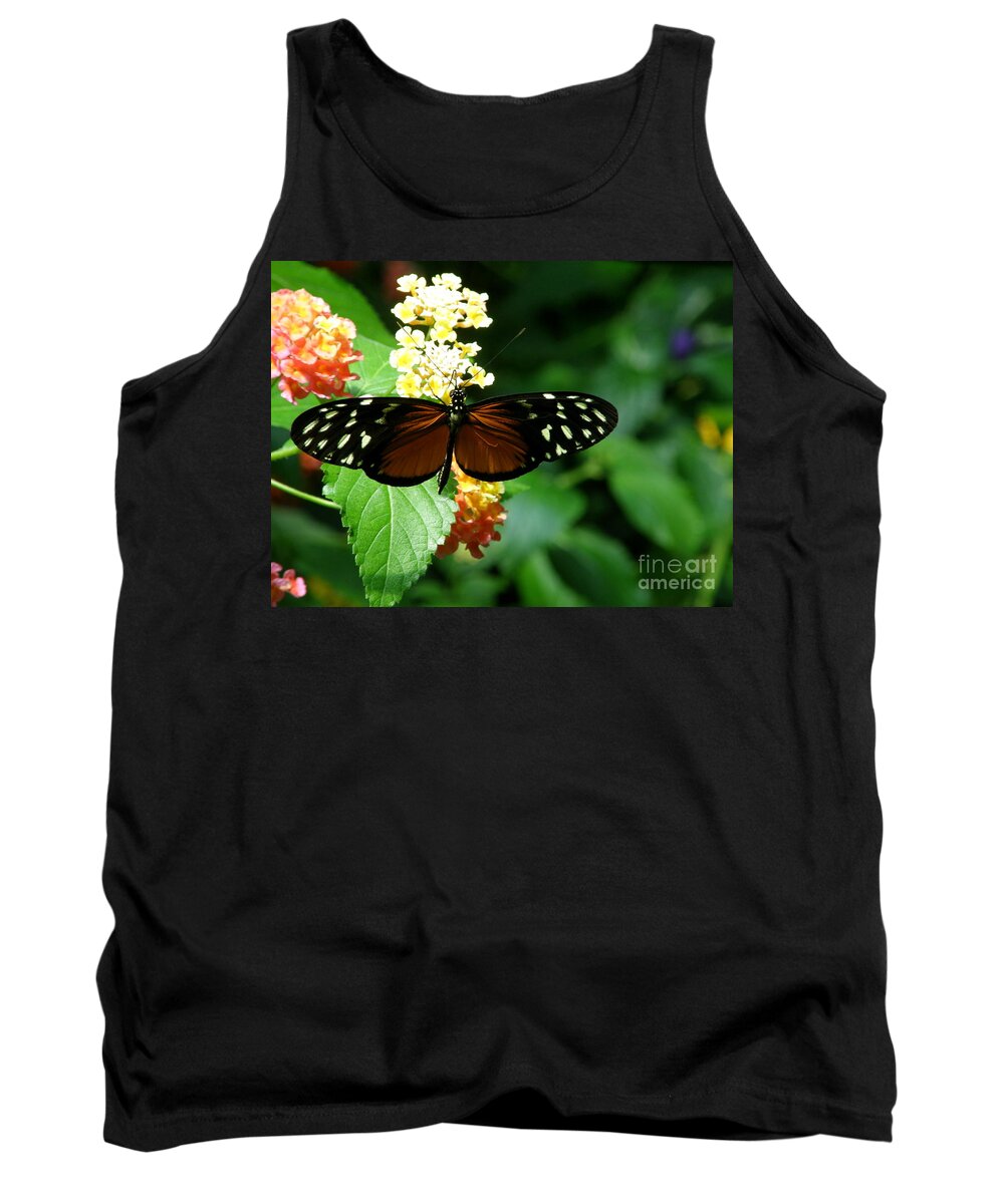 Butterfly Tank Top featuring the photograph Butterfly by Bev Conover
