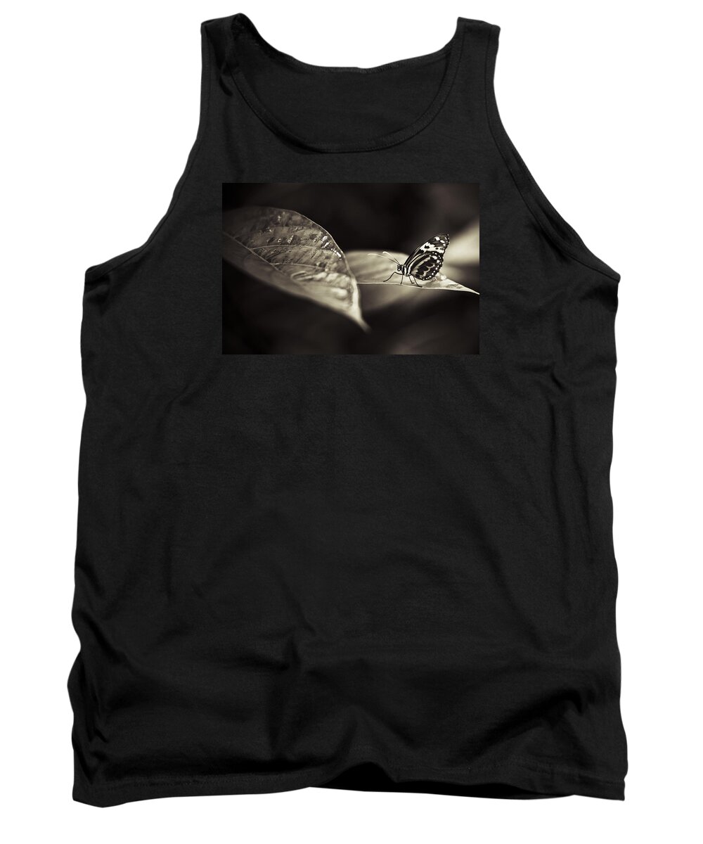 Florida Tank Top featuring the photograph Butterfly Warm Tone by Bradley R Youngberg