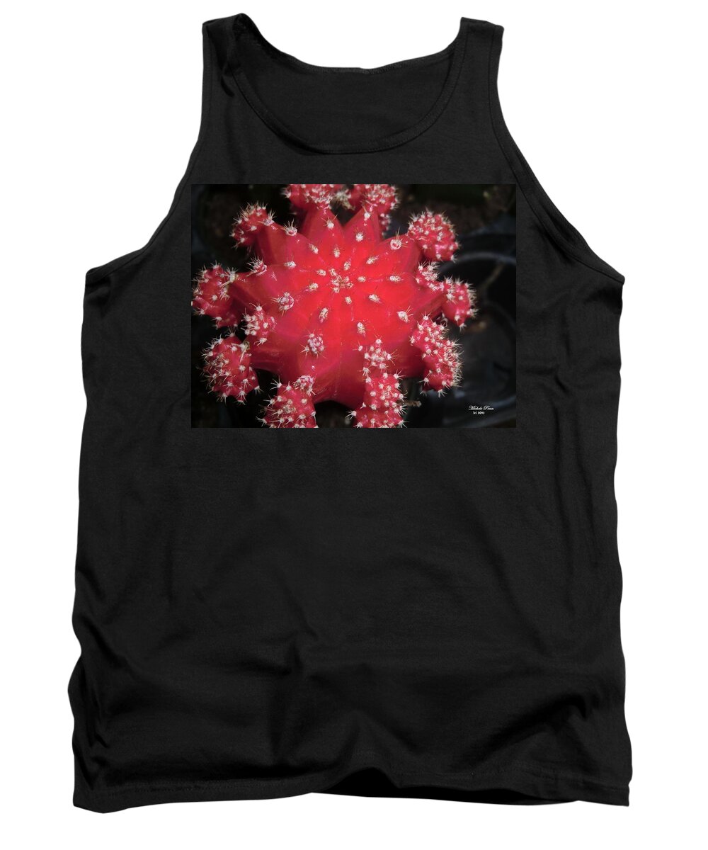 Red Tank Top featuring the photograph Cactus Beauty by Michele Penn