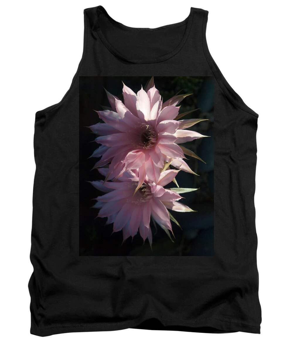 Cactus Flowers Tank Top featuring the photograph Cactus Flowers in Pink by Joe Schofield