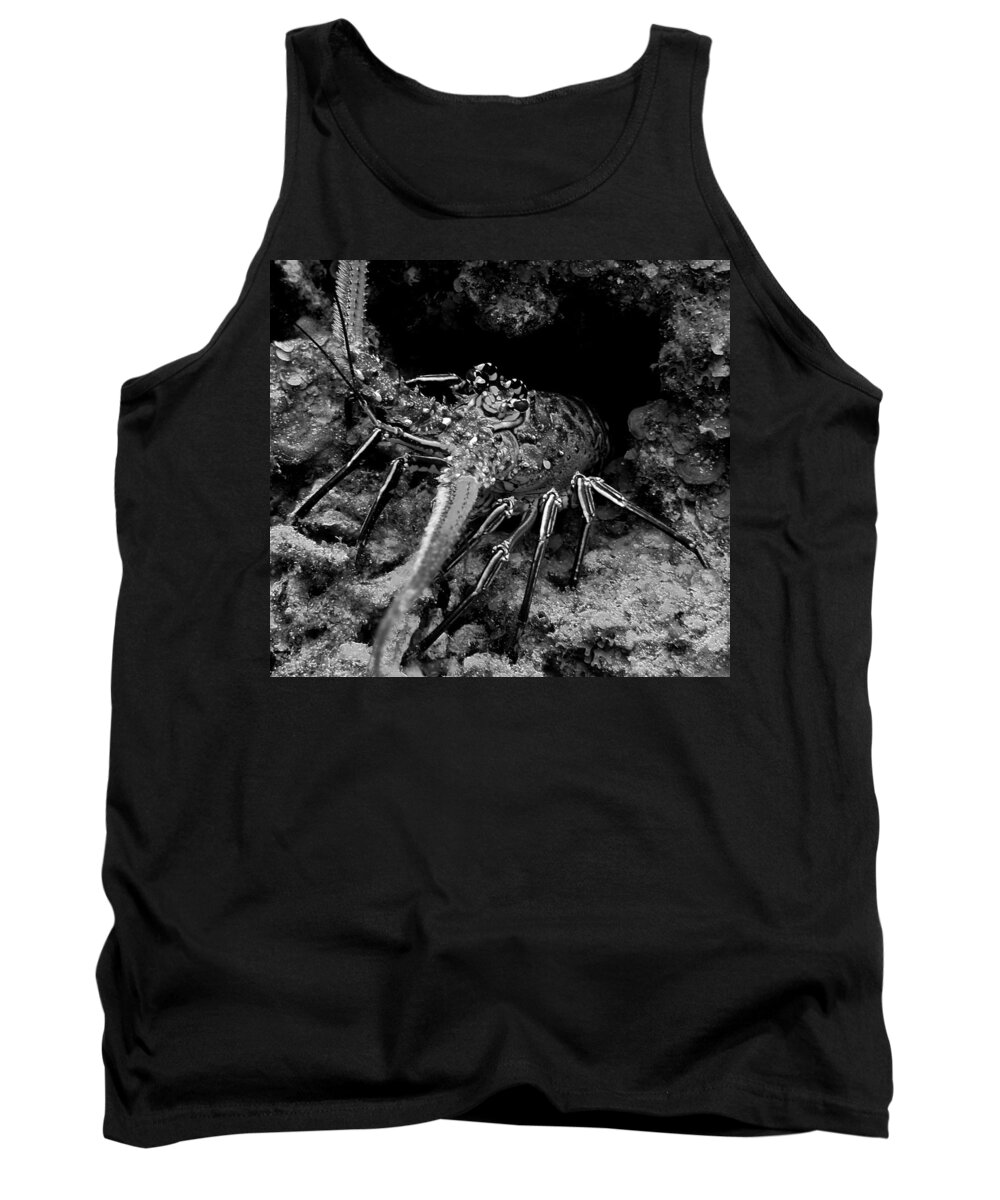 Nature Tank Top featuring the photograph Caribbean Reef Lobster in Black and White by Amy McDaniel