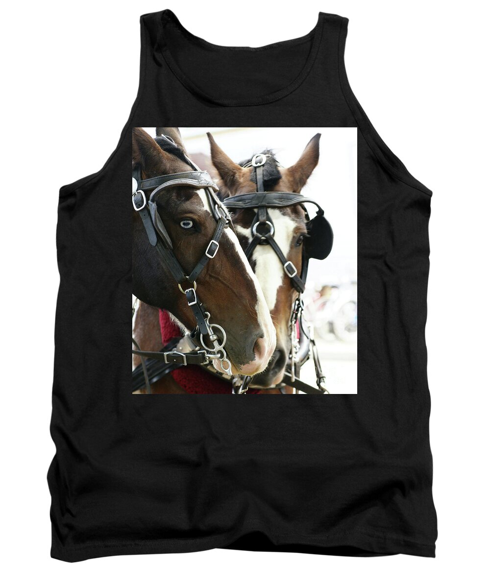 Carriage Tank Top featuring the photograph Carriage Horse - 4 by Linda Shafer