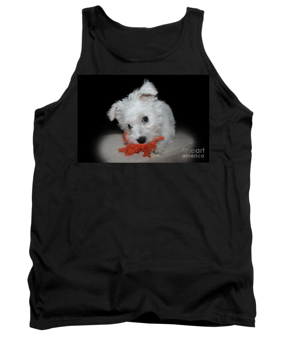 Puppy Tank Top featuring the photograph Caught in the Act by Terri Waters