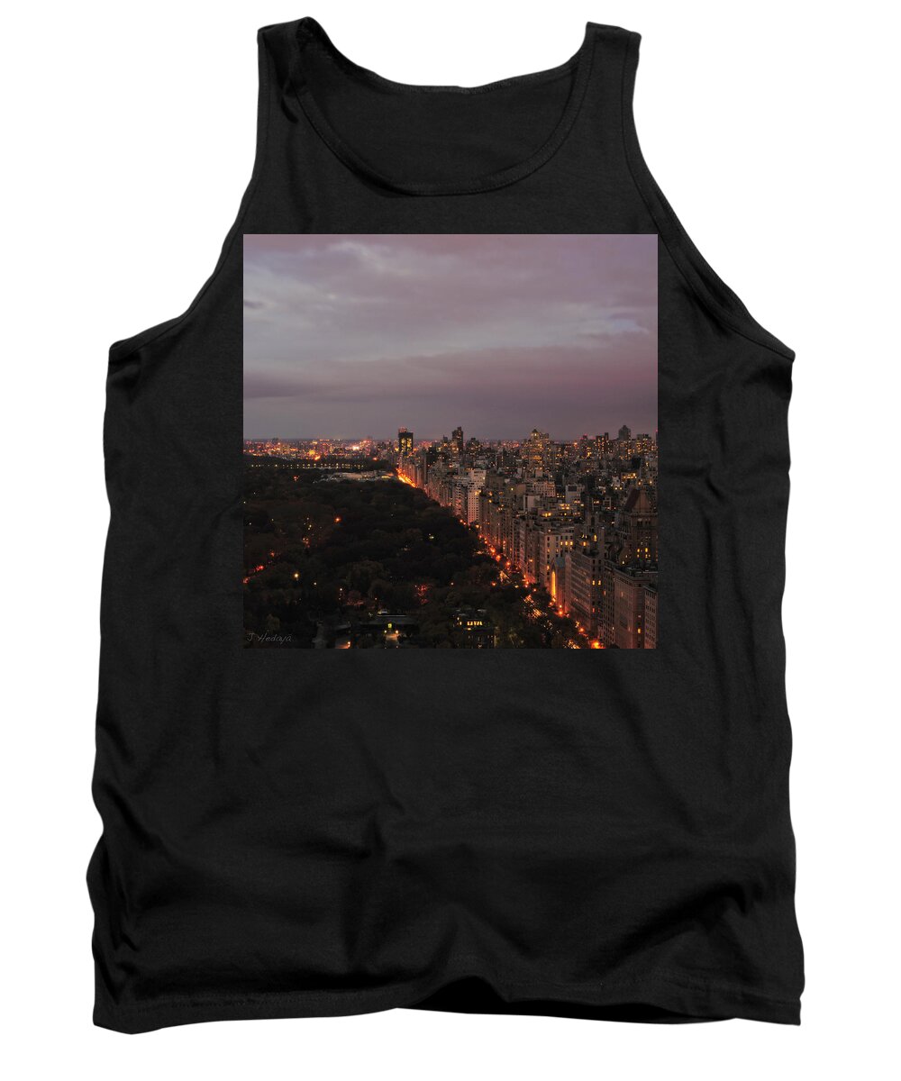 Nyc Tank Top featuring the photograph Central Park Nyc Eve by Joseph Hedaya