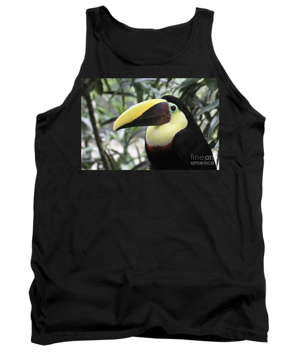 Animal Tank Top featuring the photograph Chestnut-mandibled Toucan by Teresa Zieba