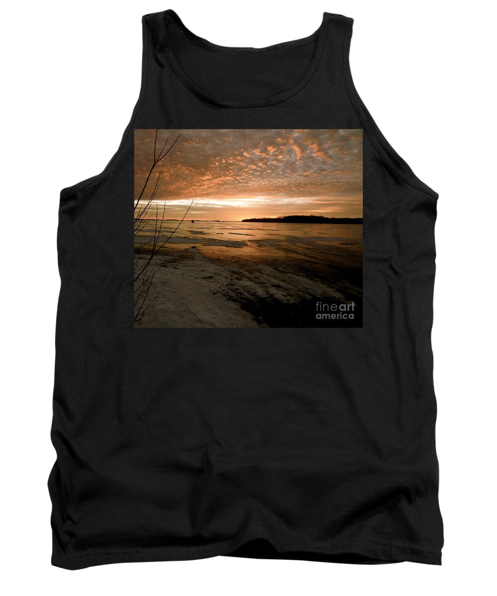 Winter Tank Top featuring the photograph Christmas Ice by Jacqueline Athmann