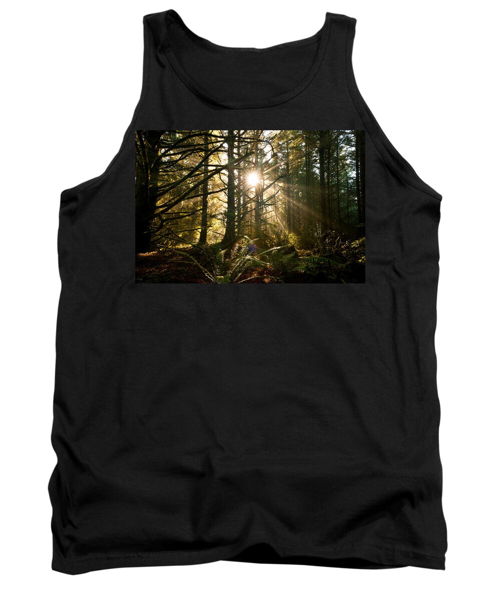 Oregon Tank Top featuring the photograph Coastal Forest by Andrew Kumler