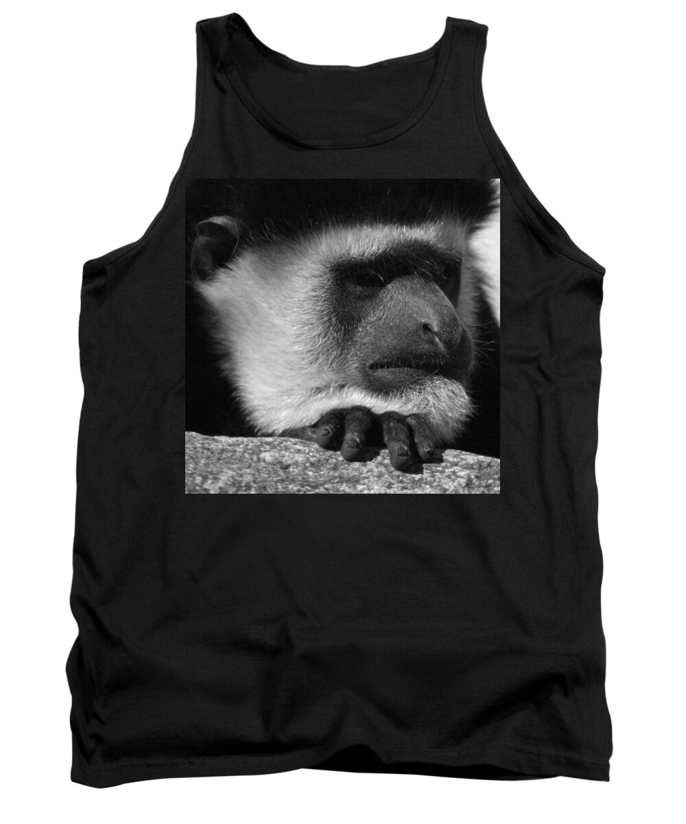 Colobus Monkey Tank Top featuring the photograph Colobus Monkey by Ernest Echols