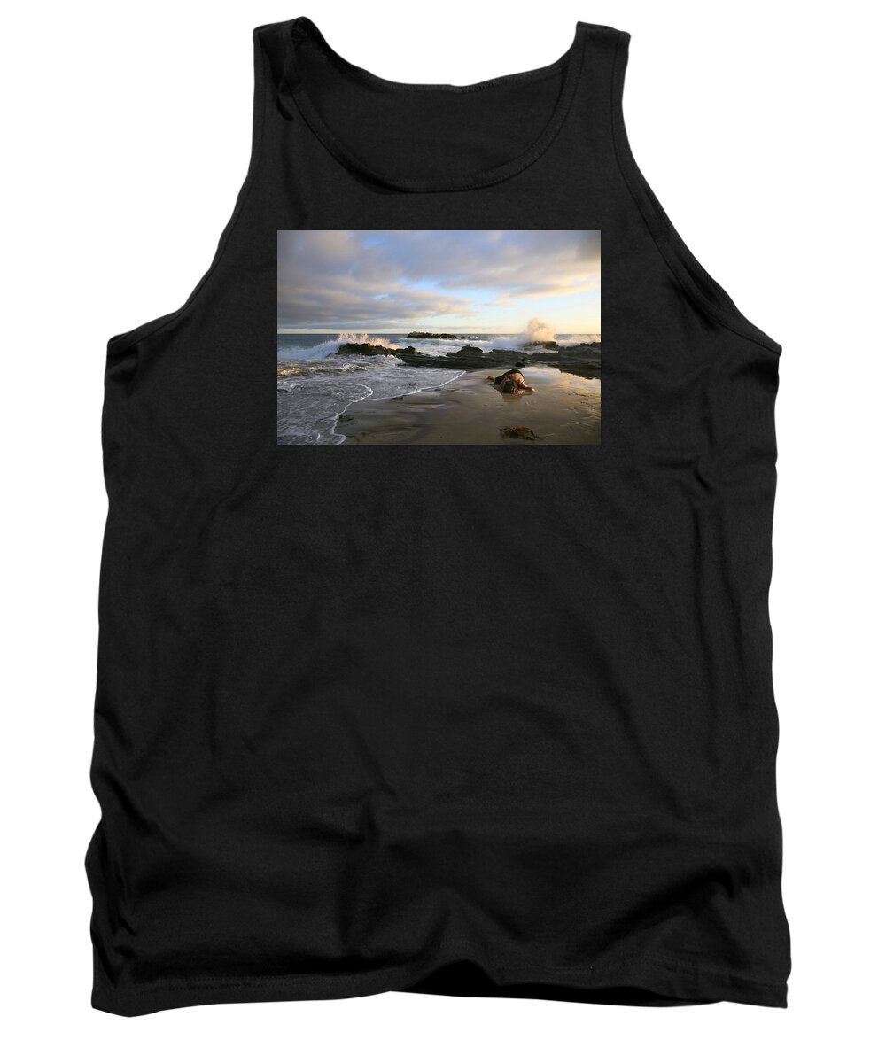 Angel Tank Top featuring the photograph Come Back To Me by Acropolis De Versailles