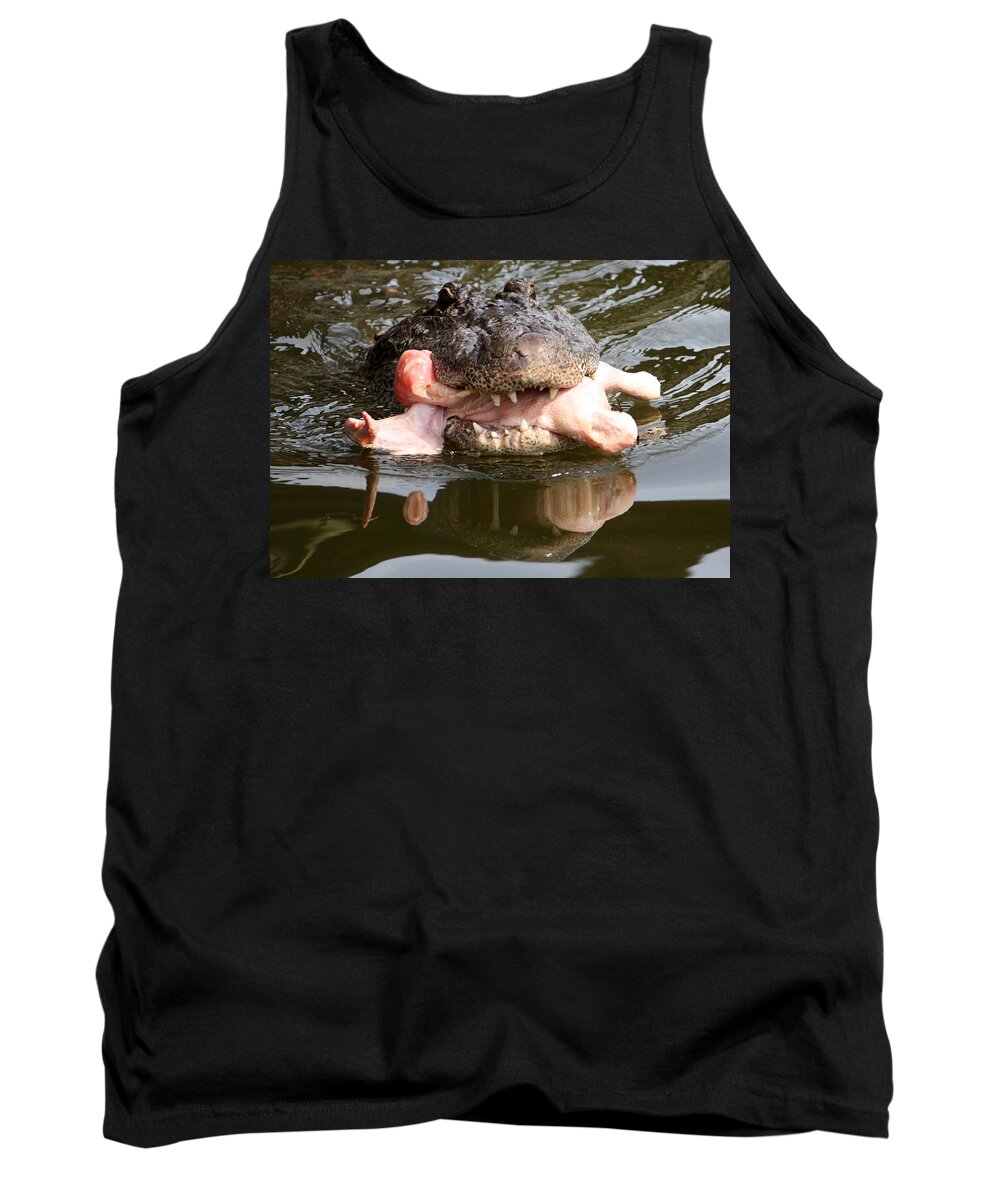 Gatorland Tank Top featuring the photograph Contented by David Nicholls