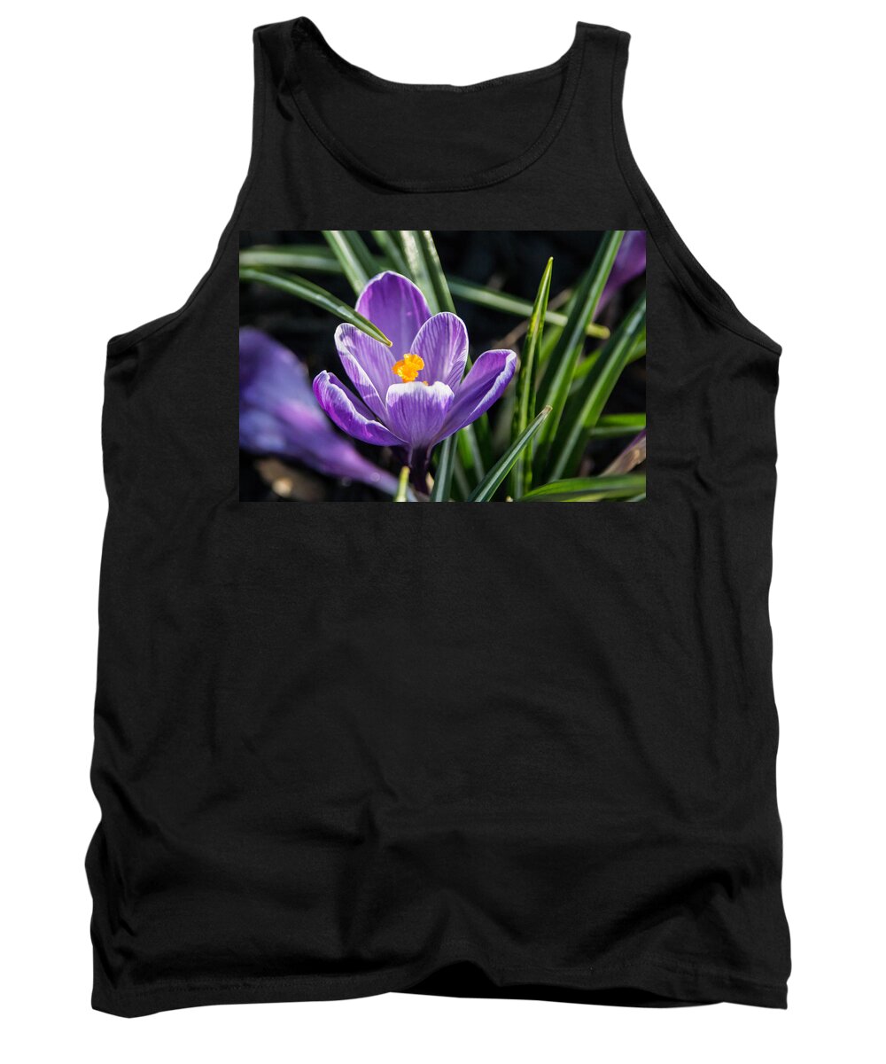 Crocus Tank Top featuring the photograph Crocus and Grass by Photographic Arts And Design Studio