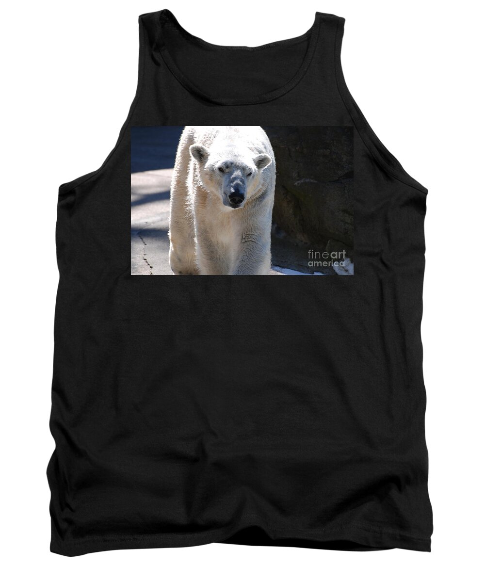 Polar Bear Tank Top featuring the photograph Cute Polar Bear by DejaVu Designs