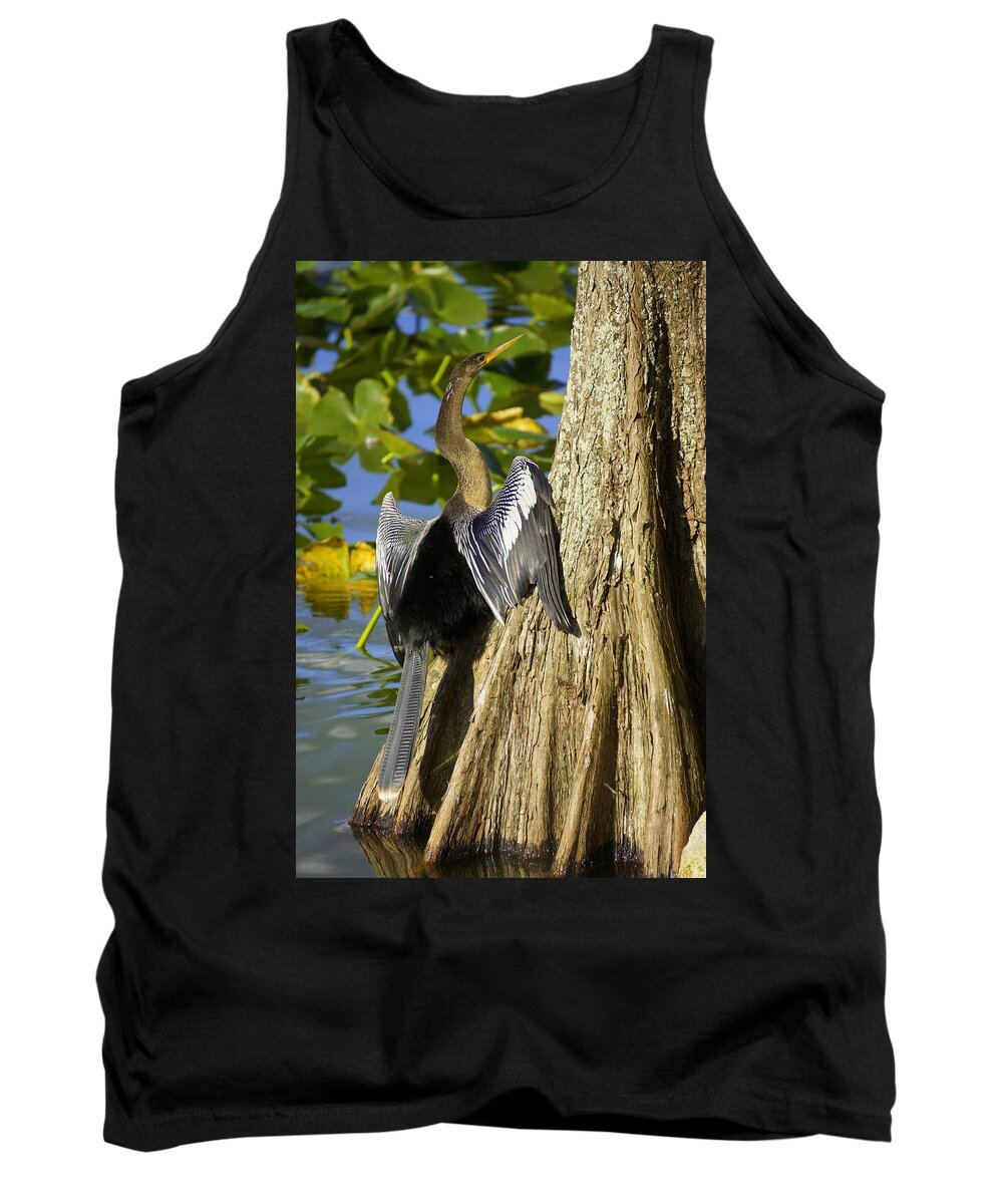 Ahninga Tank Top featuring the photograph Cypress Bird by Laurie Perry
