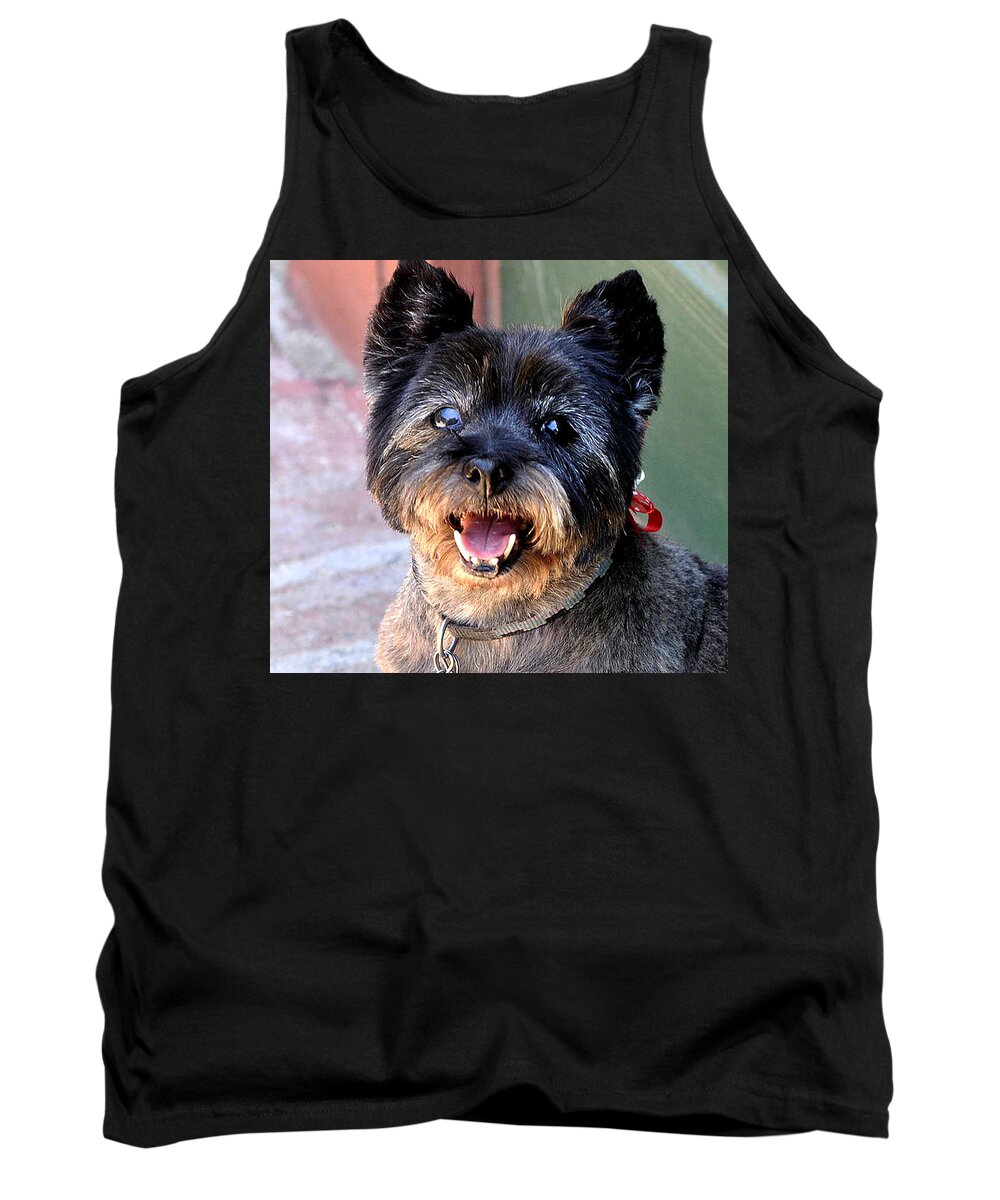 Animals Tank Top featuring the photograph Daddy I Lost My Tooths by Jay Milo