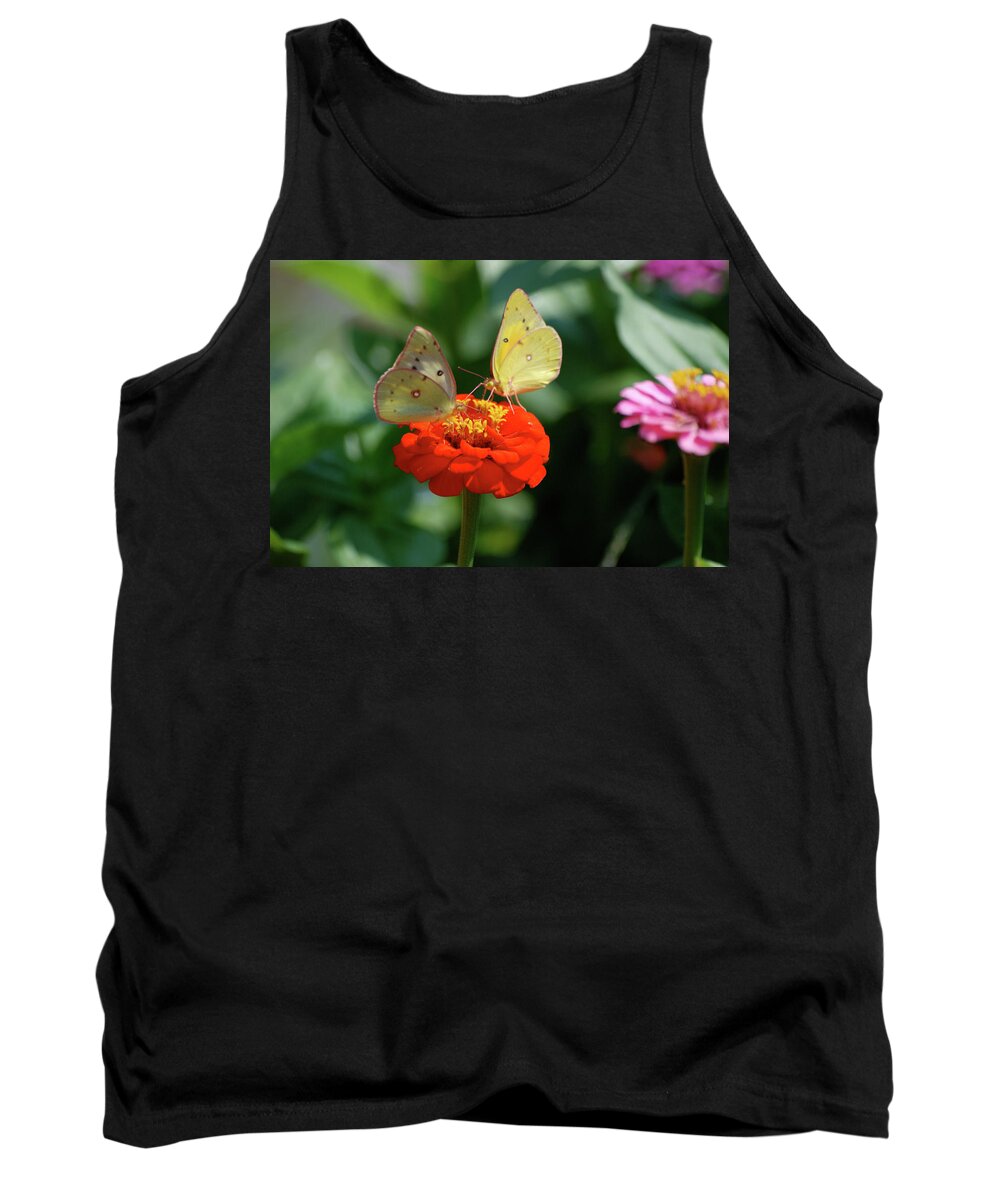Animals Tank Top featuring the photograph Dinner Table for Two Butterflies by Thomas Woolworth