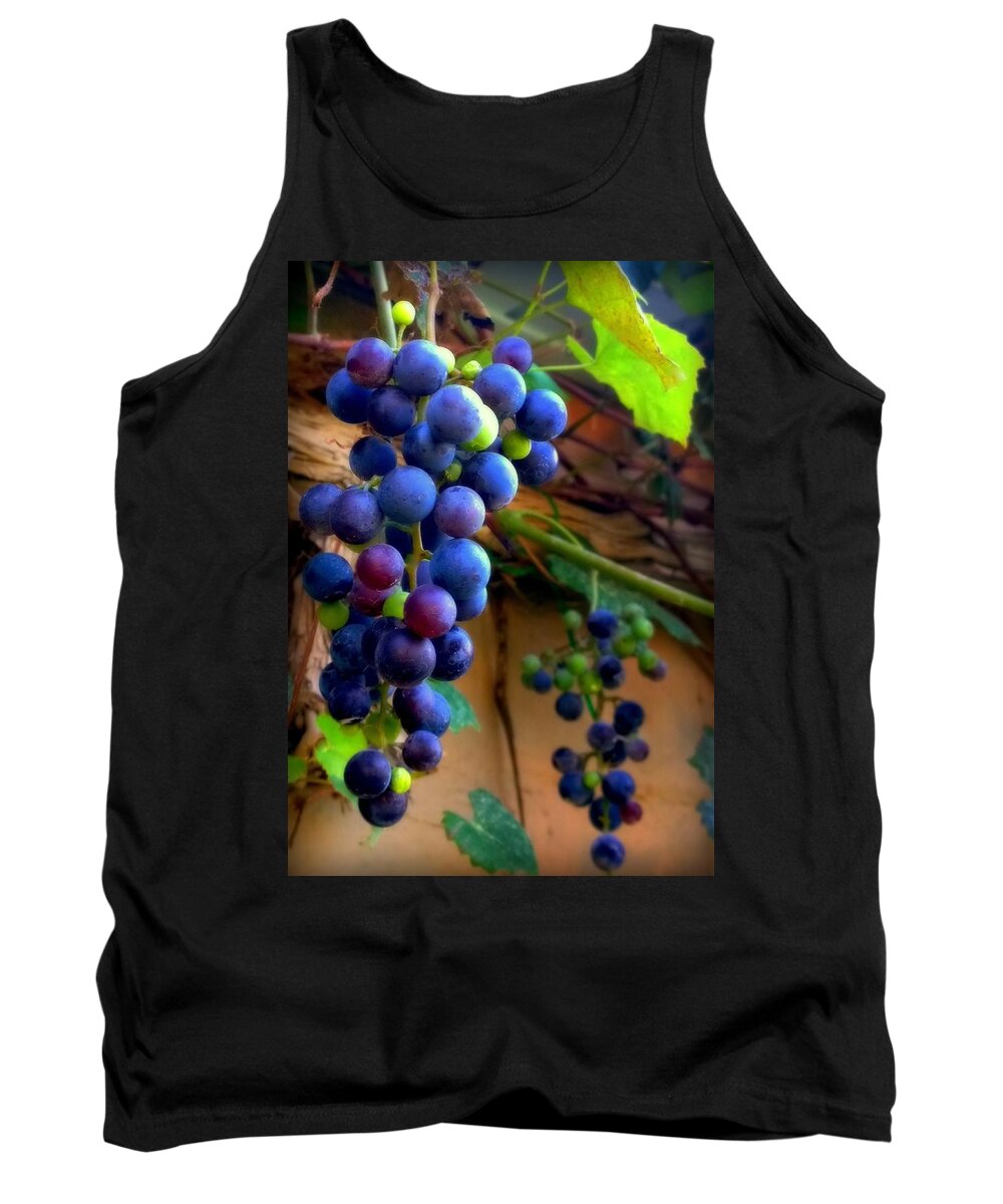 Grapevine Tank Top featuring the photograph Divine Perfection by Karen Wiles