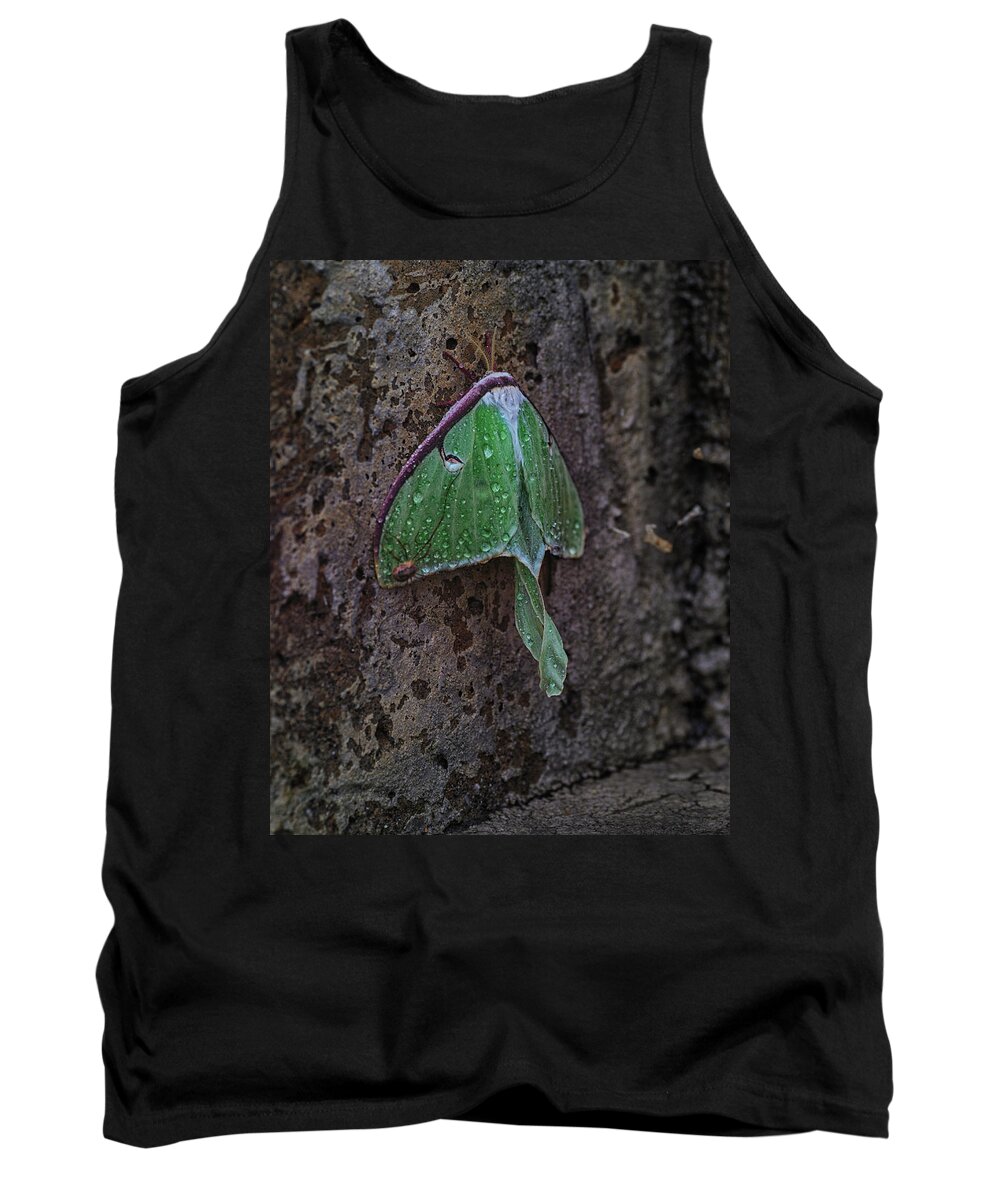 Luna Moth Tank Top featuring the photograph Down on the Corner by Sue Capuano
