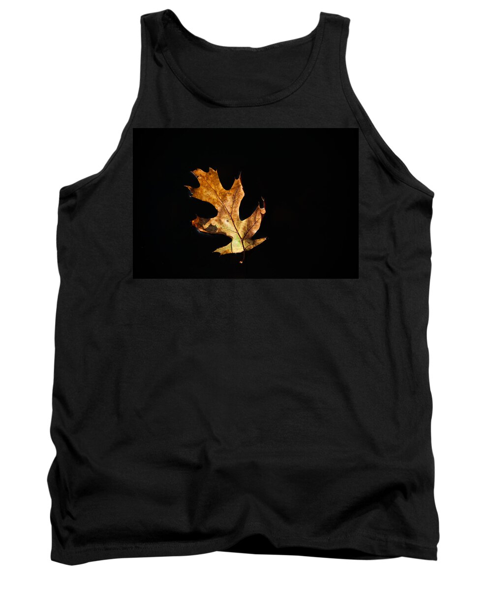 Leaf Tank Top featuring the photograph Dry on Water by Karol Livote