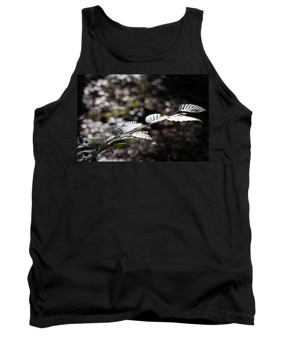 Miguel Tank Top featuring the photograph Early Autumn Forest Light by Miguel Winterpacht