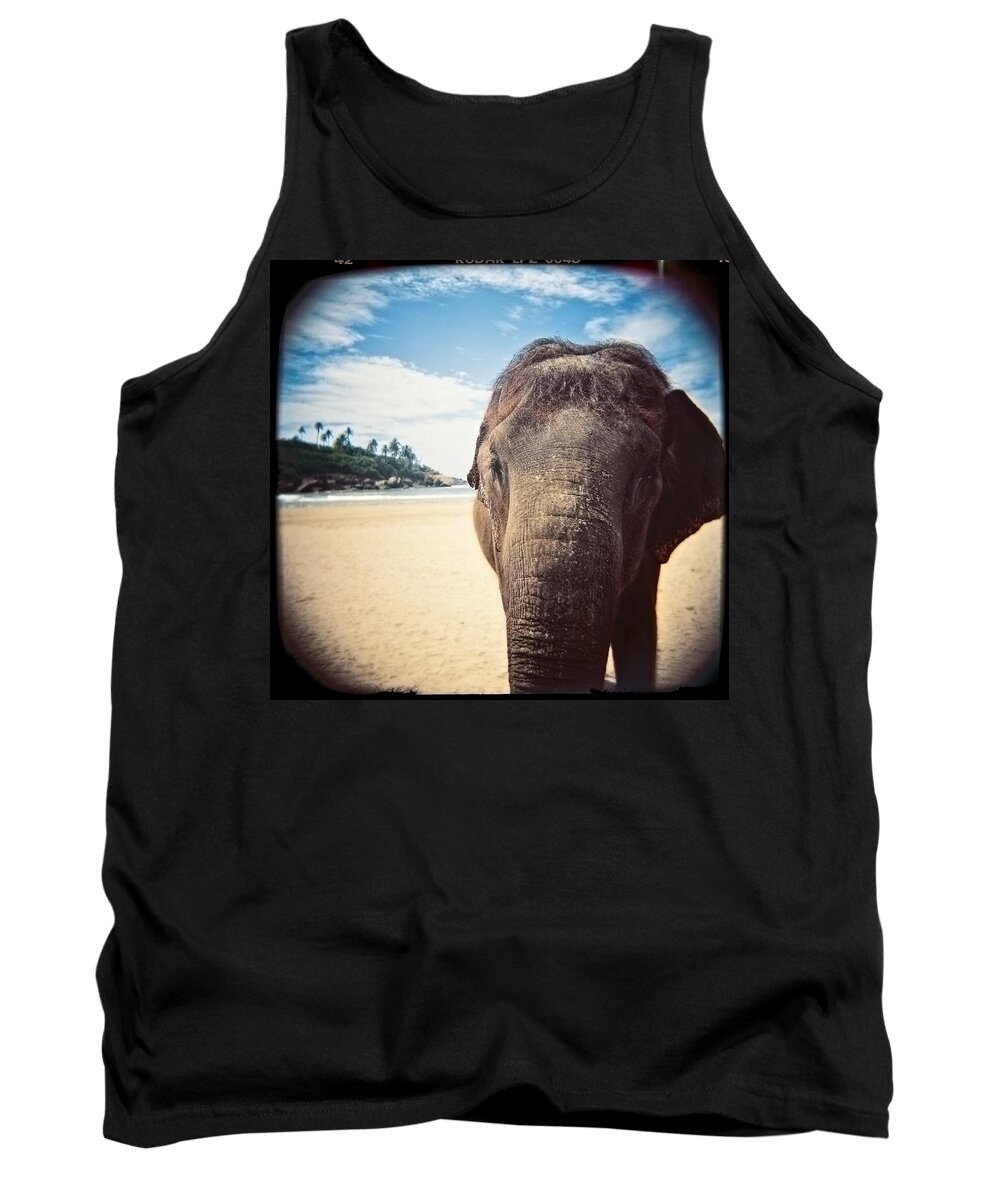 Animals Tank Top featuring the photograph Elephant on the Beach by Carol Whaley Addassi