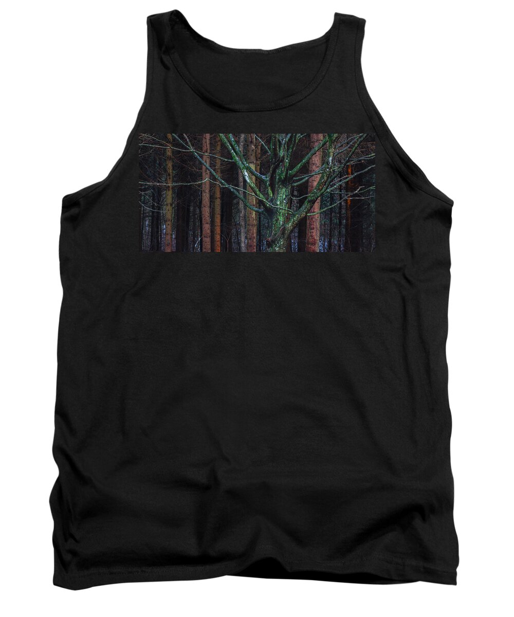 Forest Tank Top featuring the photograph Enchanted forest by Davorin Mance