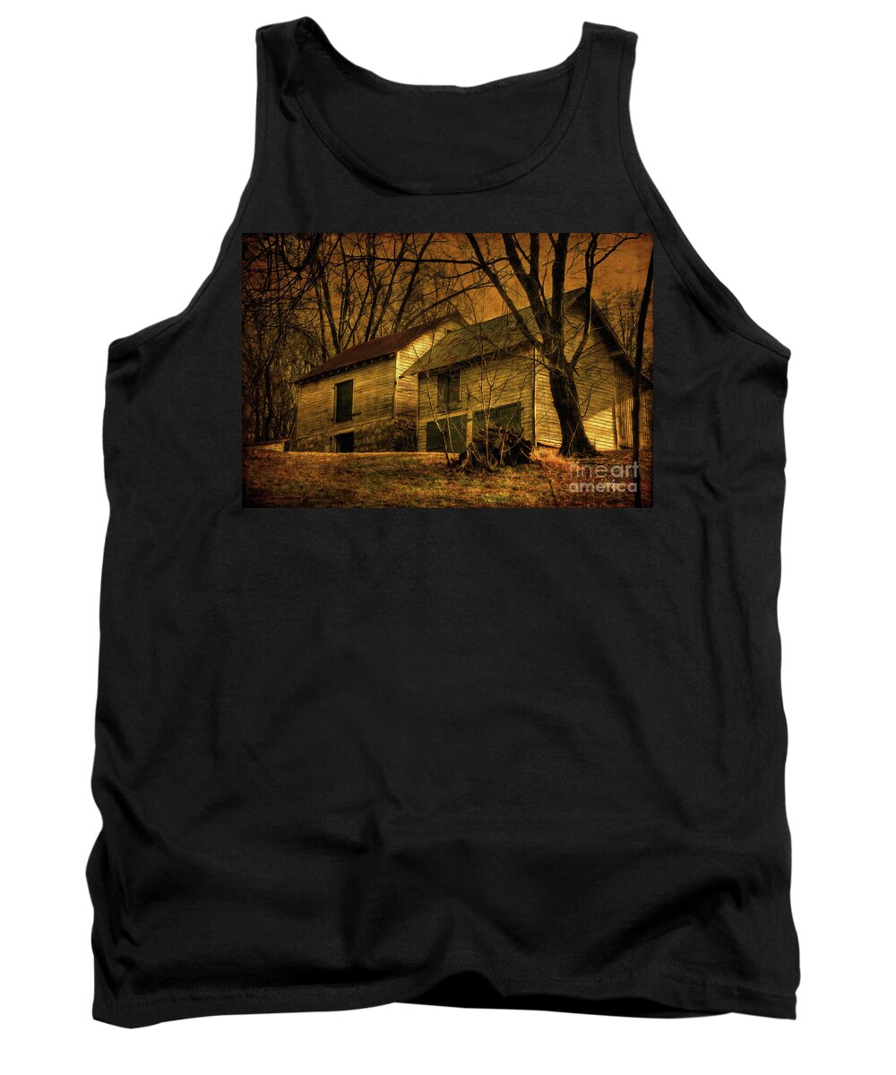 Barn Tank Top featuring the photograph Evening Twilight Fades Away by Lois Bryan