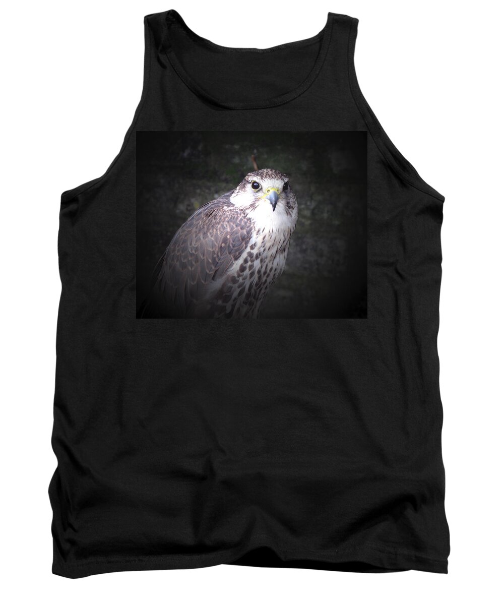 Falcon Tank Top featuring the photograph Falcon by Tom Conway