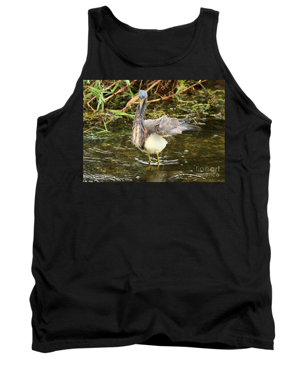 Anhinga Tank Top featuring the photograph Flurry by Adam Jewell