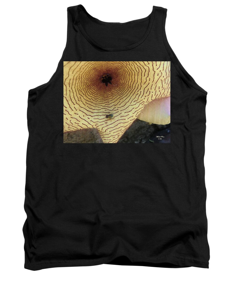 Flower Photograph Tank Top featuring the photograph Fly to Me by Michele Penn