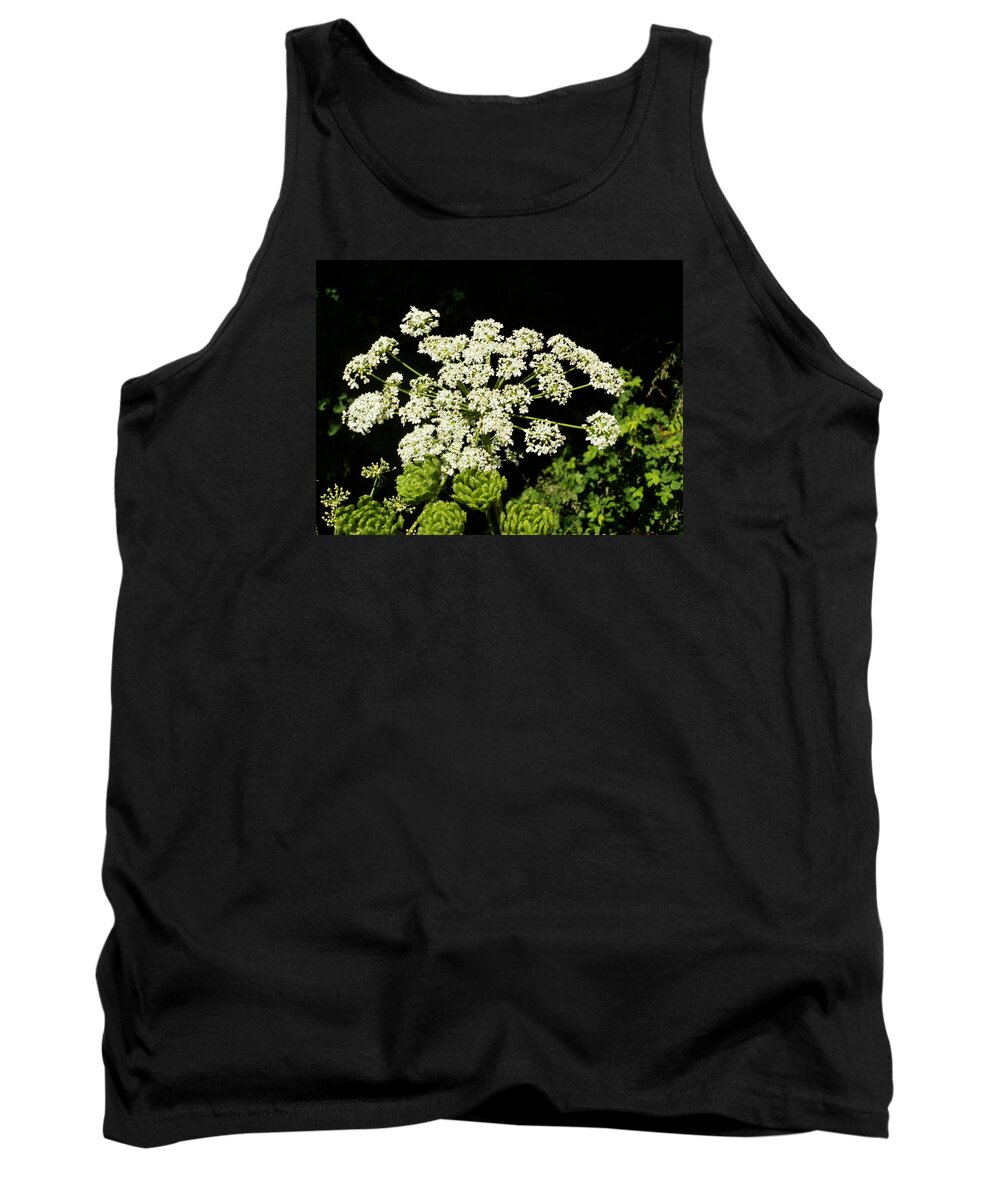 Flower Tank Top featuring the photograph Forest Lace by VLee Watson