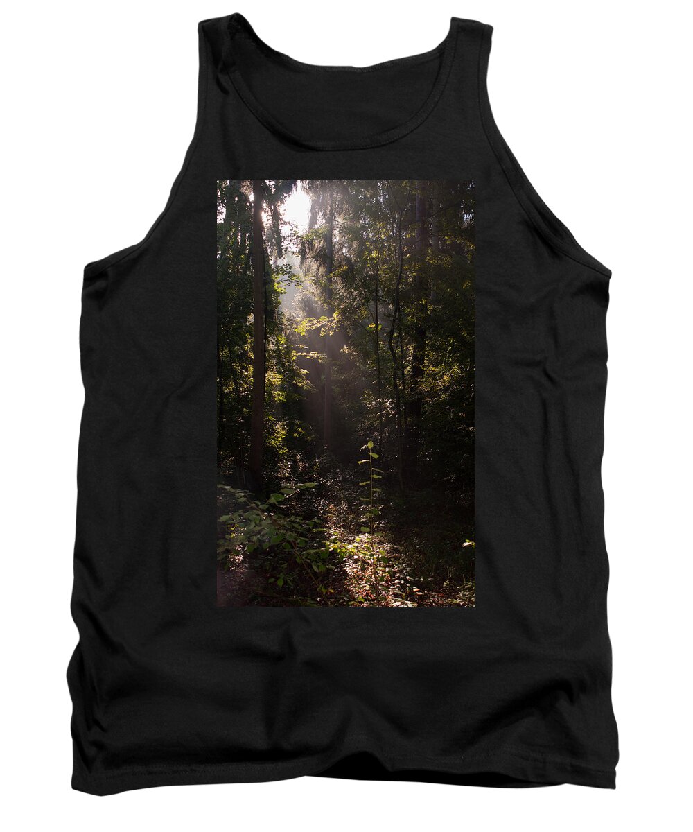 Commute Tank Top featuring the photograph Forest Lights by Miguel Winterpacht