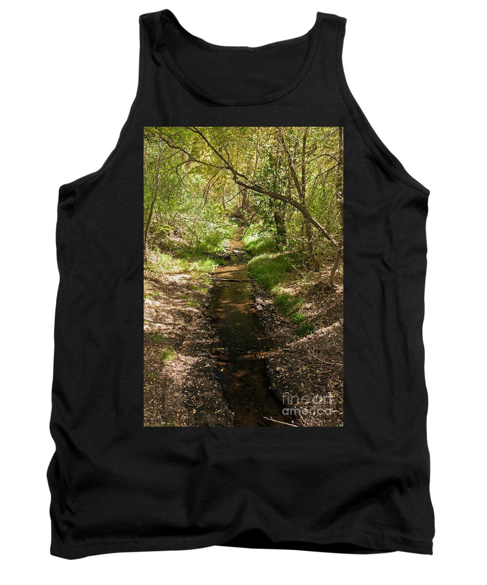 Afternoon Tank Top featuring the photograph Frijole Creek Bandelier National Monument by Fred Stearns