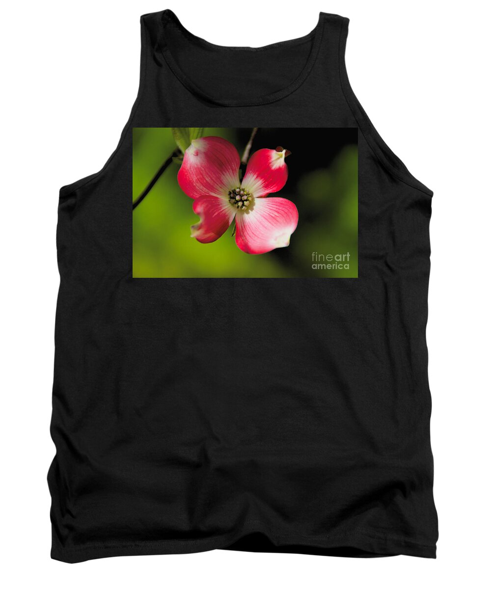 Fruit Tree Tank Top featuring the photograph Fruit Tree Flower by William Norton