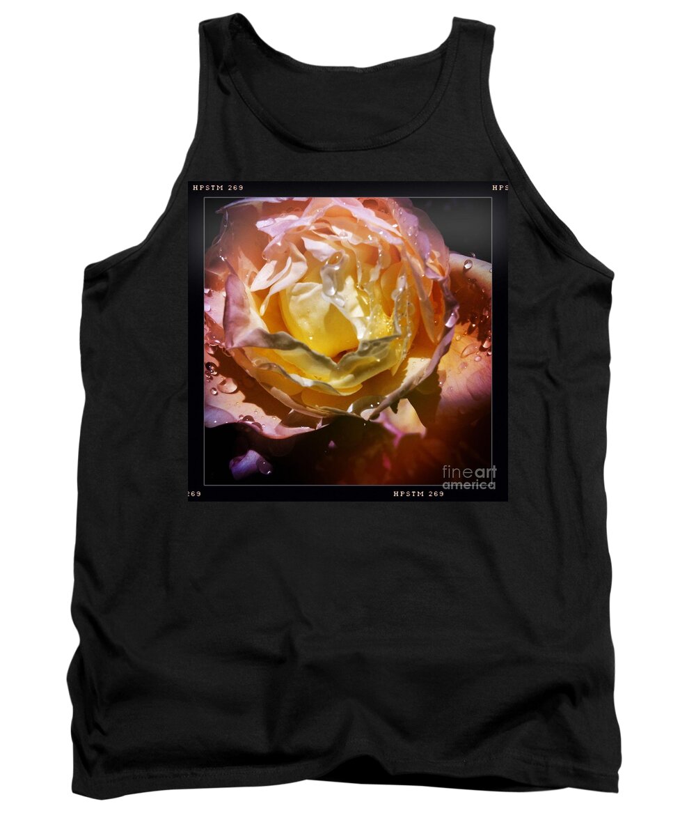 Raindrops Tank Top featuring the photograph Glistening Rose by Denise Railey