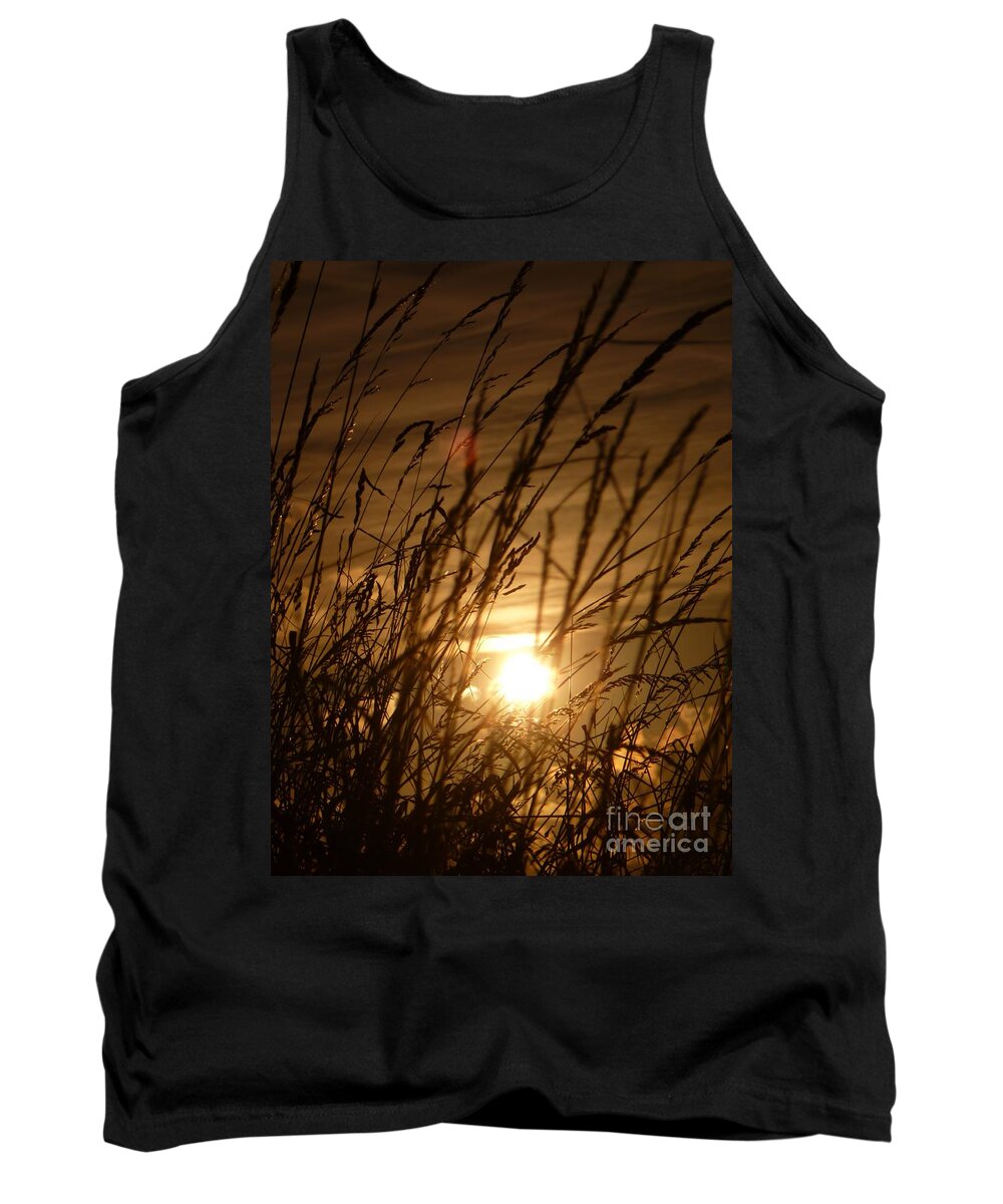 Sunset Tank Top featuring the photograph Glow Through The Grass by Vicki Spindler